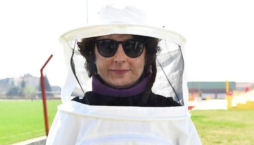 Arı gibiler