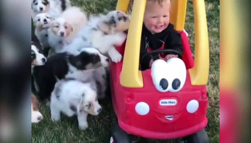 Tatlılık sınırlarını zorlayan ekip işbaşında