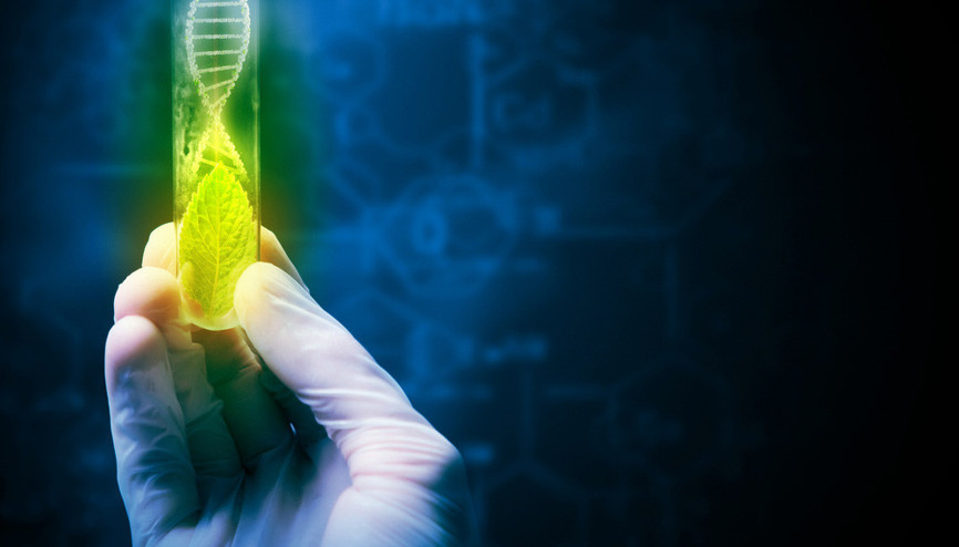 “Yükselen” tıp teknolojisi