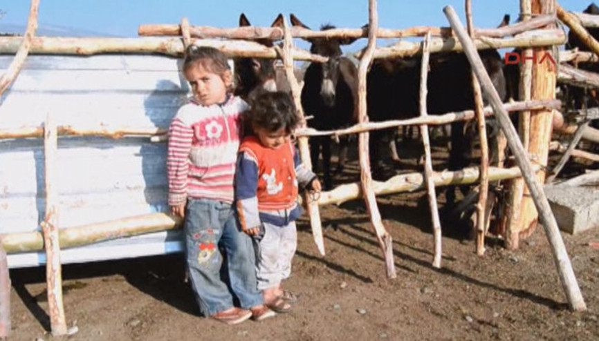 Litresini 120 TLye satıyor, talebe yetişemiyor