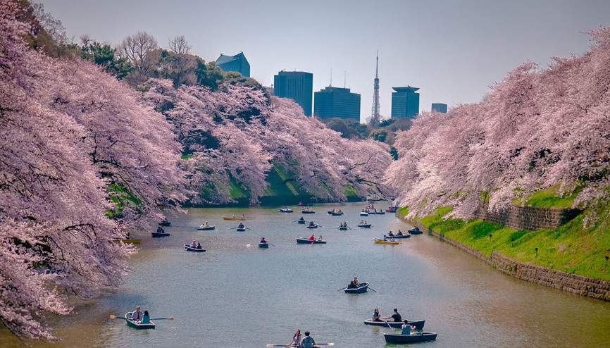 36 saatte Sapporo / Japonya