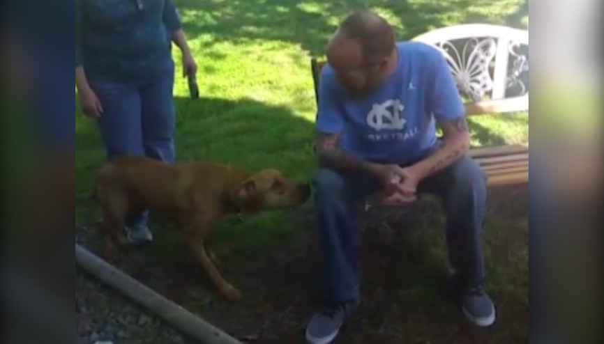 Kilo kaybeden sahibini önce tanımadı ama...