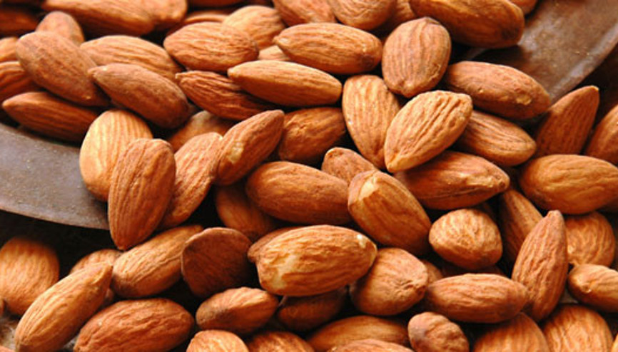 Boş palamut arazileri badem bahçesi oldu