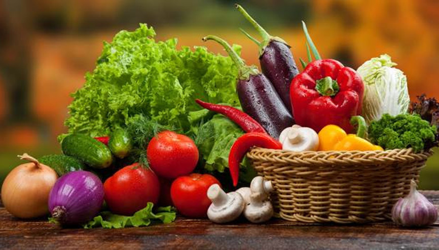 LÖSEVden farkındalık yaratma paneli LÖSEVden farkındalık yaratma paneli