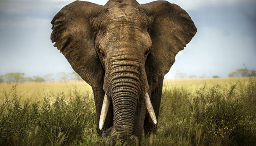 Duyduğunuza aşırı şaşıracağınız 16 beyin yakan bilgi