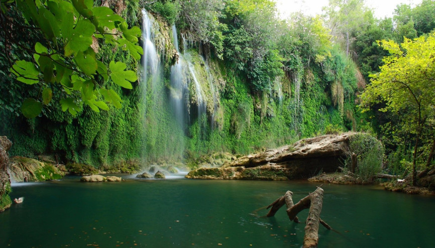 Piknik sezonu açıldı