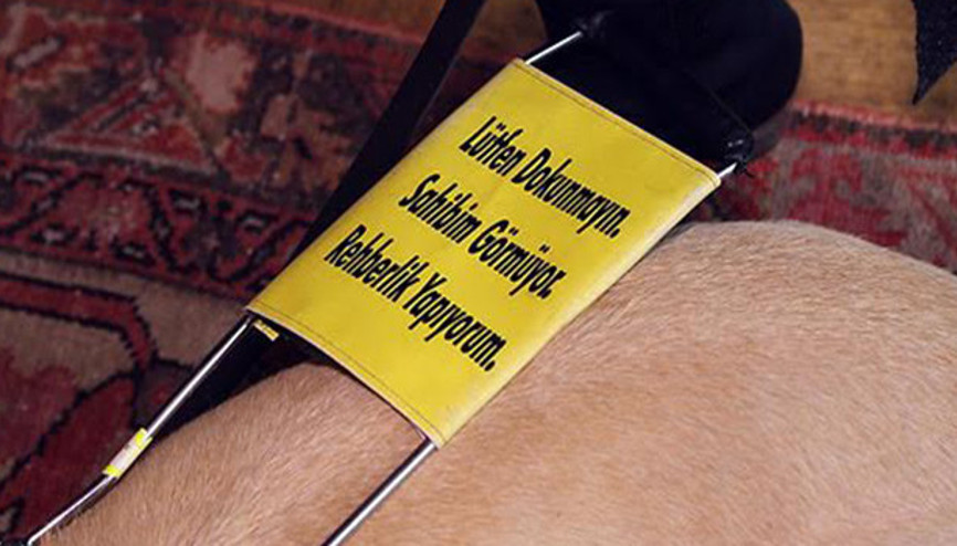 Rehber Köpekler Derneği