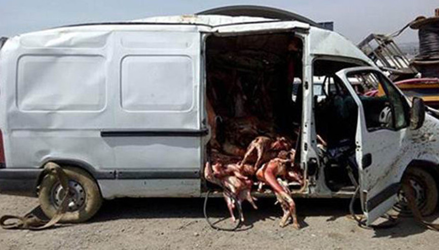 Kaza yapan minibüsten kaçak et çıktı