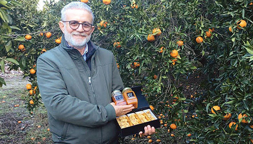Mandalina ‘Don Kişot’u