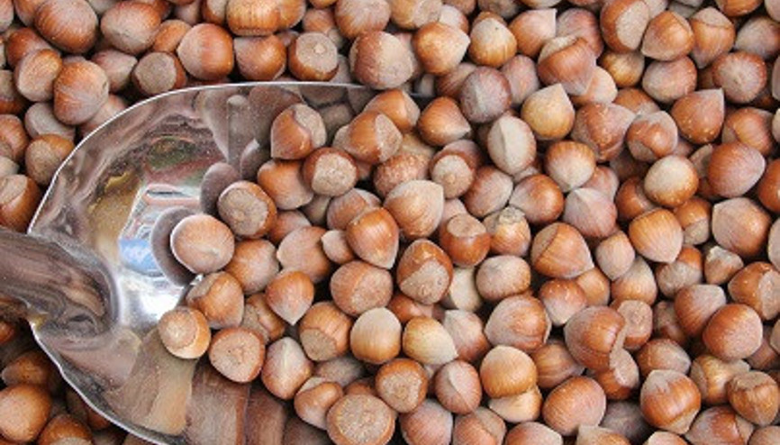 173 bin ton fındık ihraç edildi