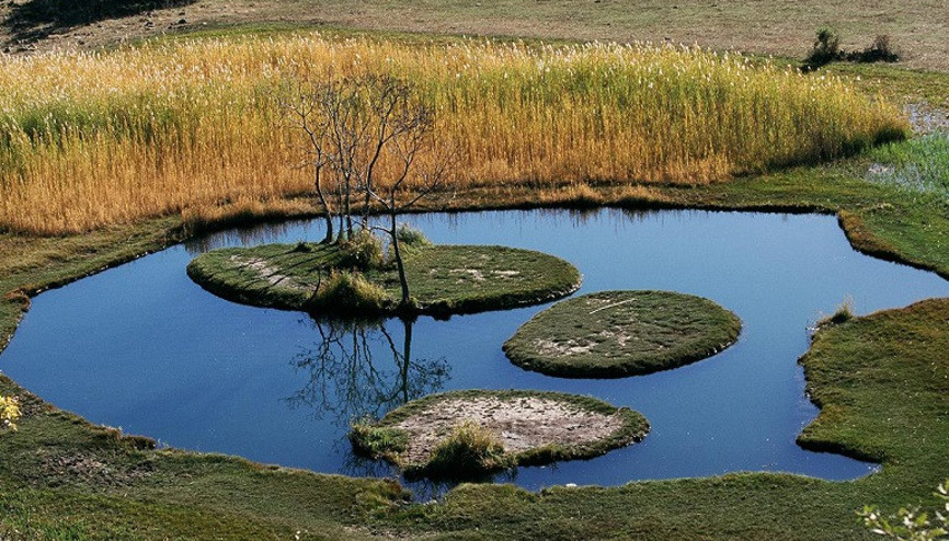 Türkiyenin pek bilinmeyen yüzen adası