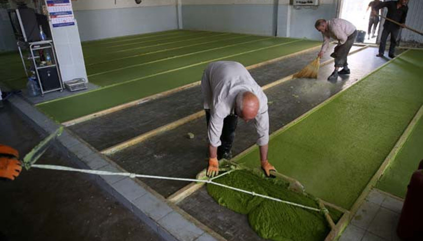 Güneydoğudan 105 ülkeye ihraç ediliyor