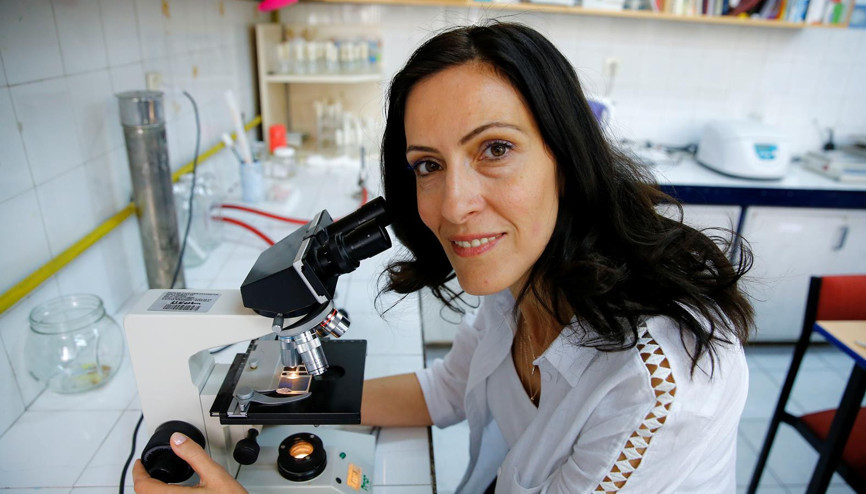 ‘Toplu arı ölümleri’ yüzde 41e ulaştı