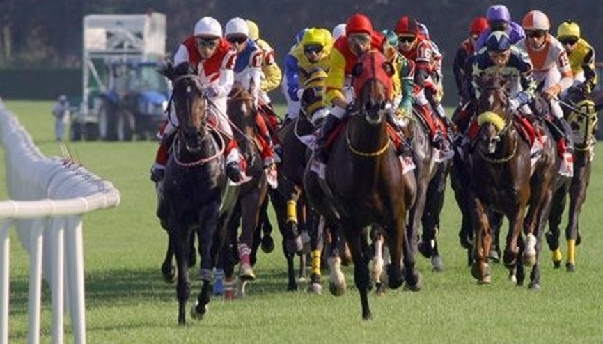 En iyiler ödüllerini aldı