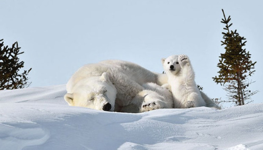 Onlar yoksa hayatın neşesi de yok