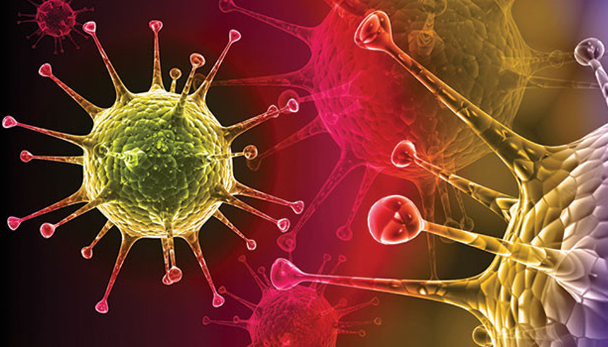 Kelliğe ‘treg’ hücresi umudu