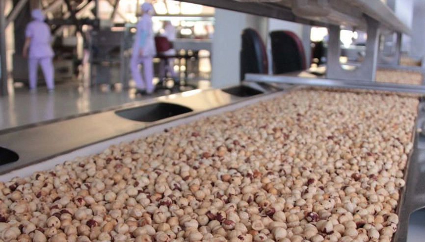 Türkiyede ilk Gün sayıyor...