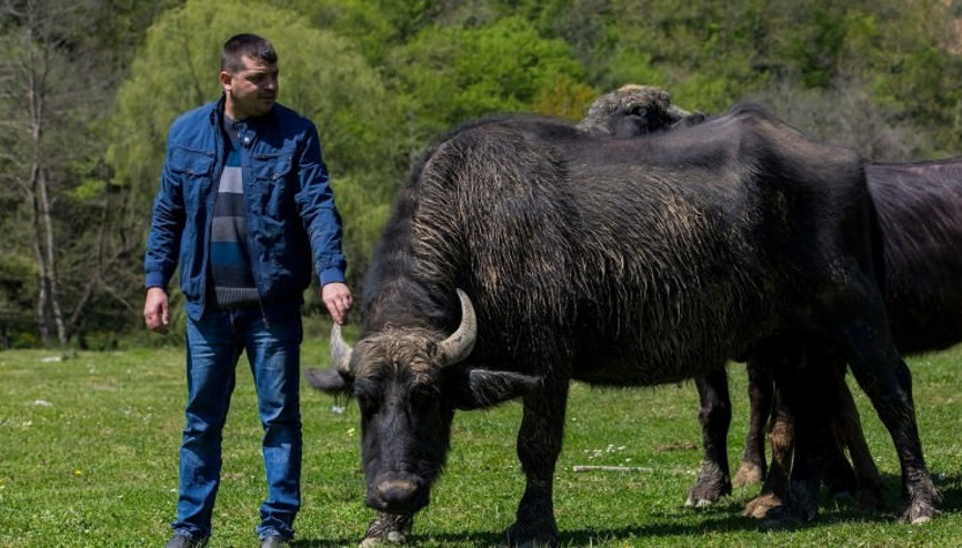 İstanbulun ortasında İtalyanlar büyük ilgi gösteriyor...