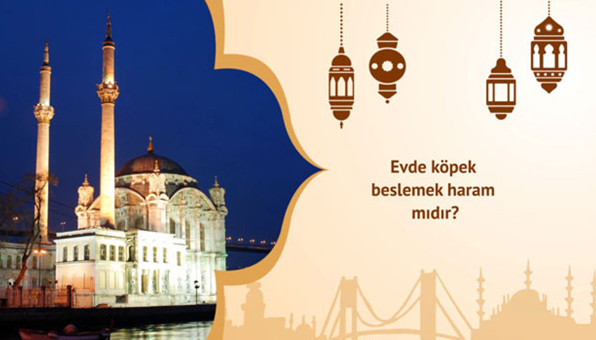 Evde köpek beslemek haram mıdır