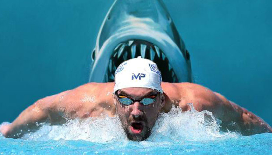 YENİ RAKİBİ KÖPEK BALIĞI