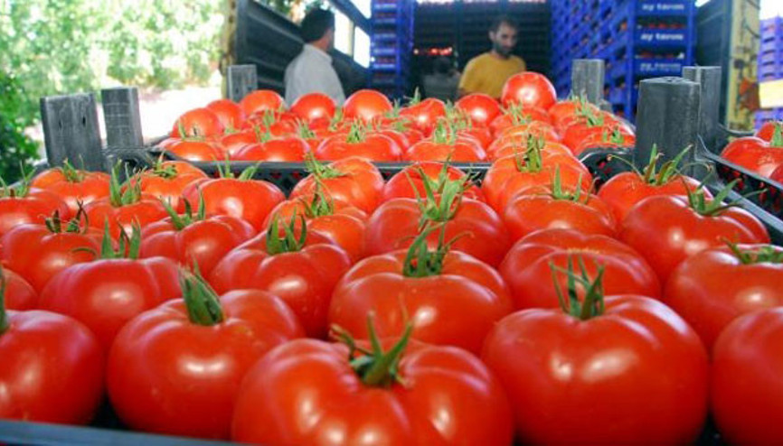 Rusyaya yaş meyve sebze ihracatında lider: Trabzon