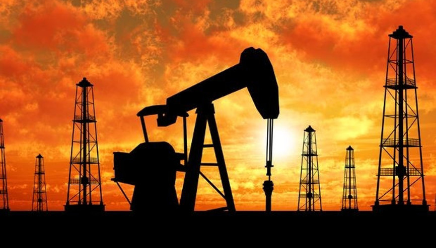 Petrol işletme ruhsatı başvurusunda bulundular