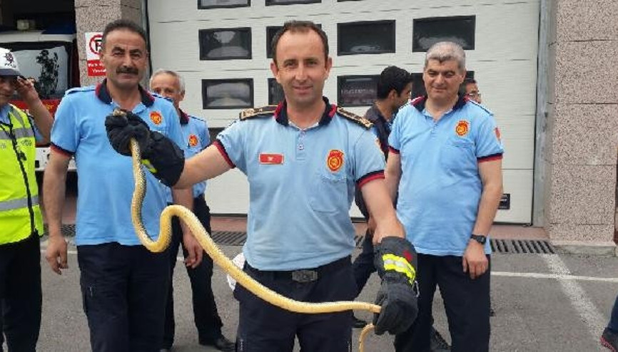 Zorda kalan dostlara onlar yardım ediyor