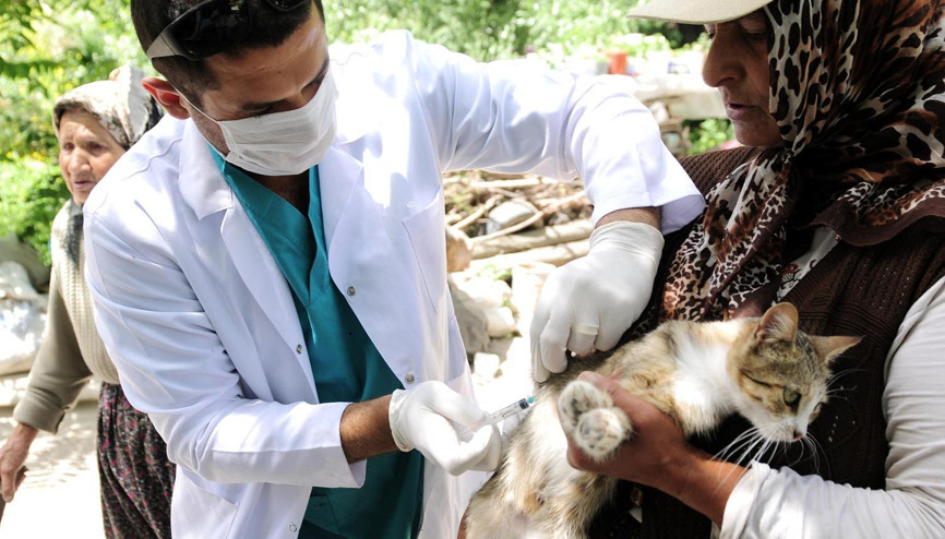 Sevimli dostlara ücretsiz aşı