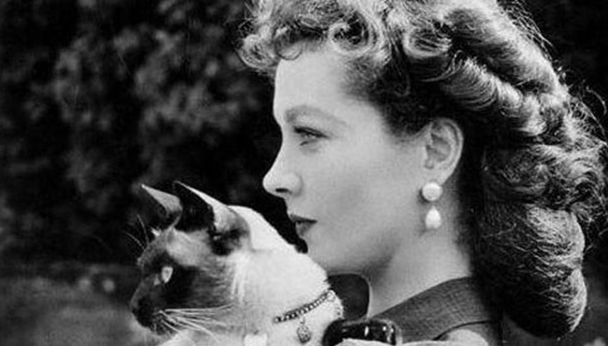 Tarihteki 6 ünlü kedili kadın
