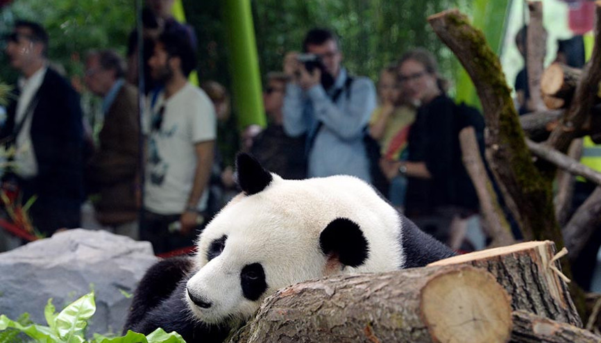 Ziyaretçi sayısı günde 4 binden 10 bine çıktı