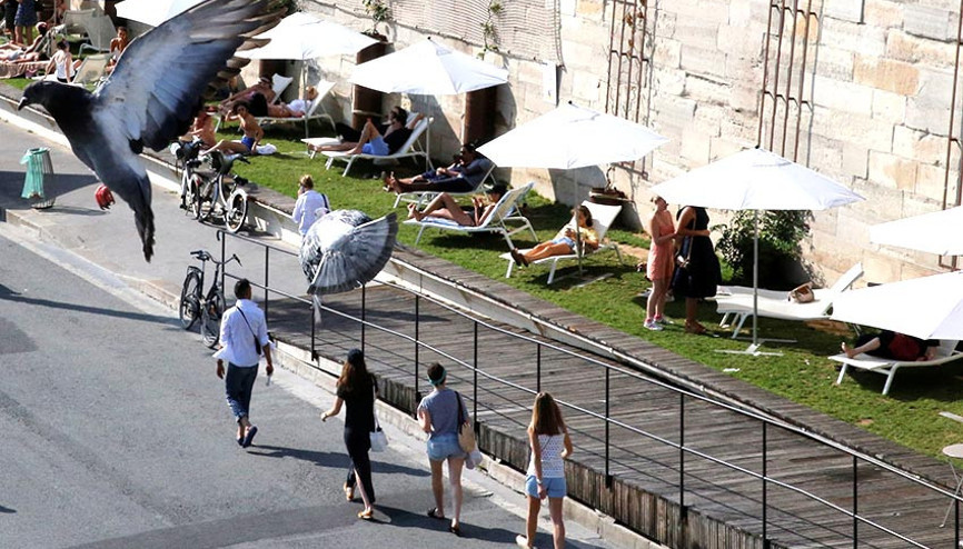 Bu yıl isteyenler Seine’de yüzebilecek