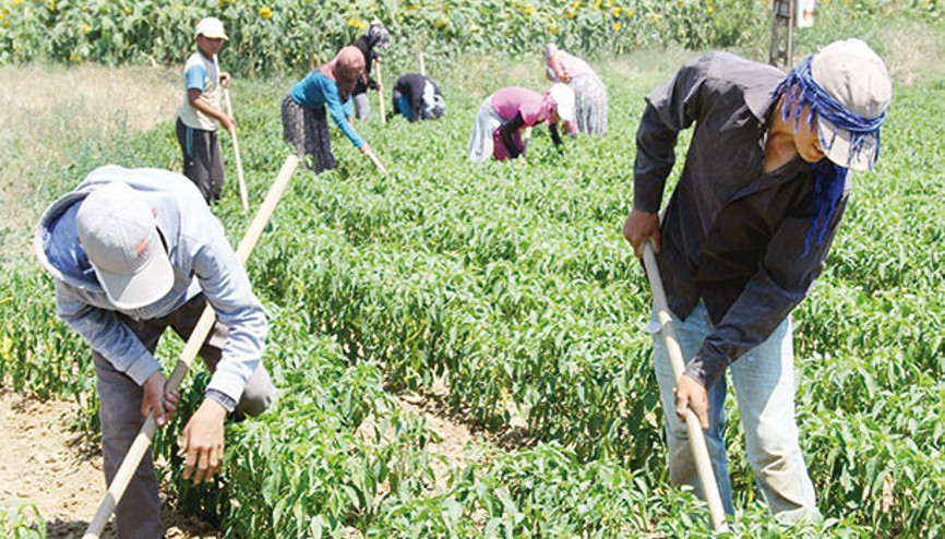 Yabancı işçiye tarla izni