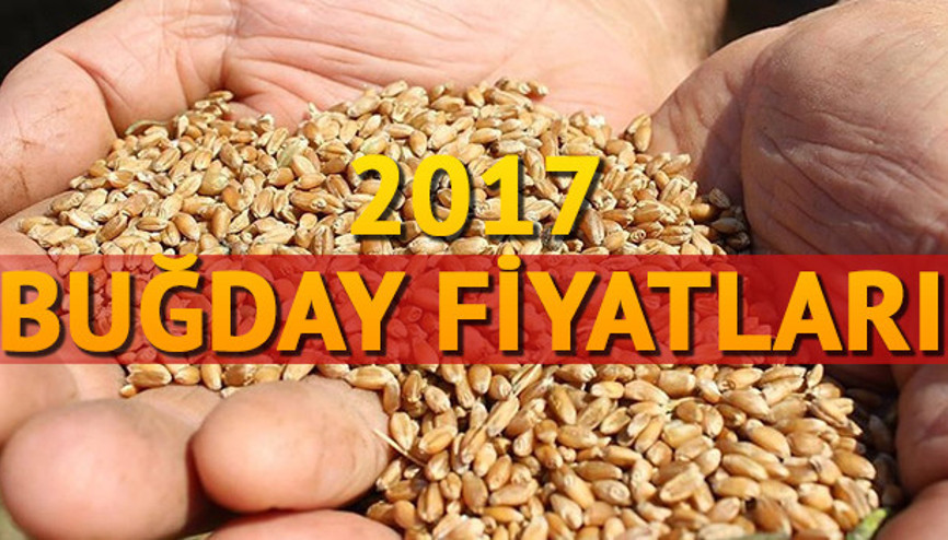 TMO, 2017 buğday fiyatları için açıklama yaptı