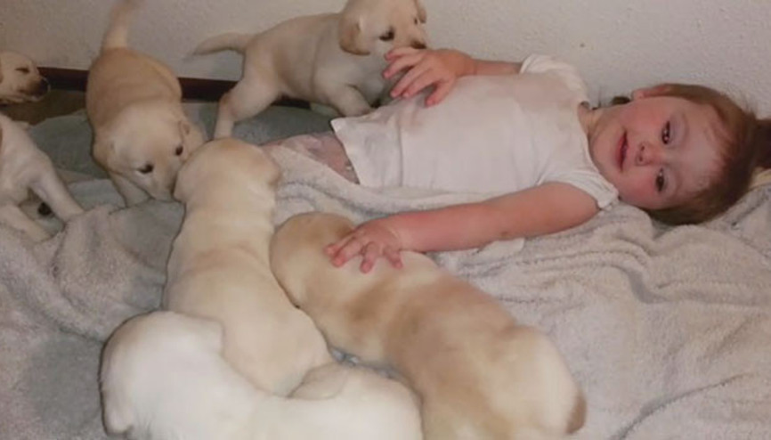 İzleyince kalbiniz eriyecek