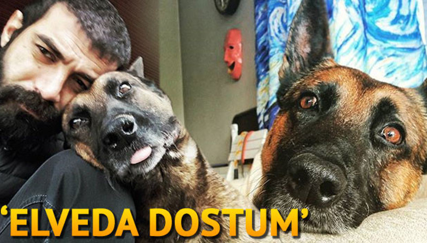 Elveda dostum