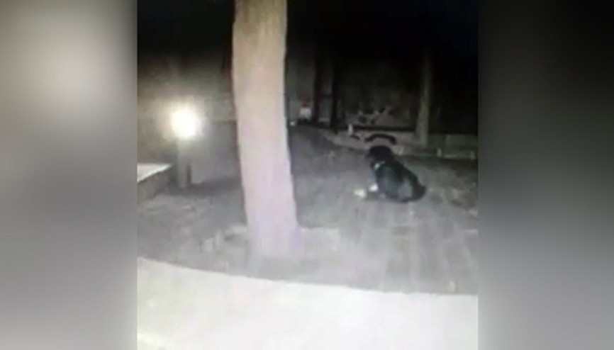 Bodrum’da şok görüntüler Depremden 4 dakika önce