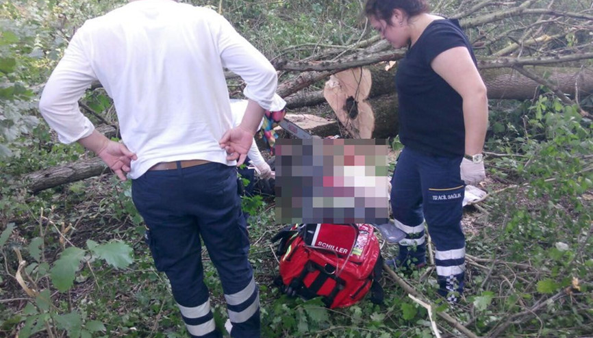 Orman işcisinin feci ölümü