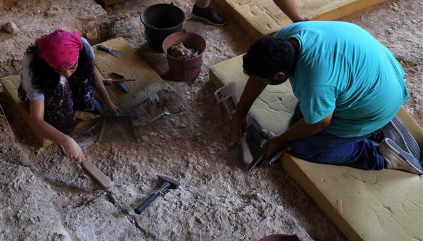 Antalyada bulundu 350 bin yıllık...