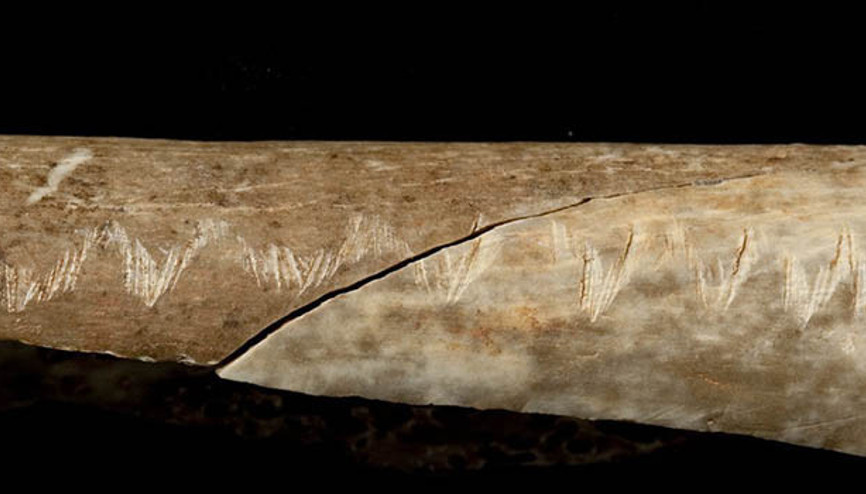 Yamyamlıkla ilgili 15 bin yıllık keşif