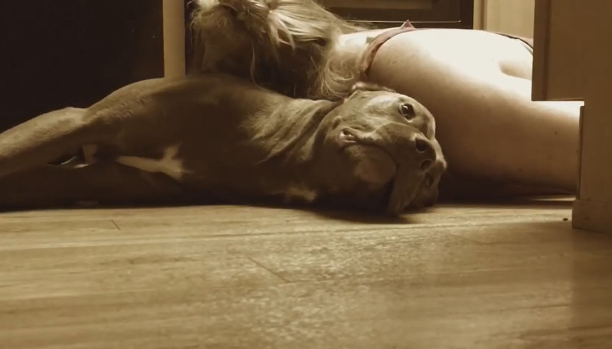 Epilepsi nöbeti geçiren sahibinin zarar görmemesi için çabalayan köpek