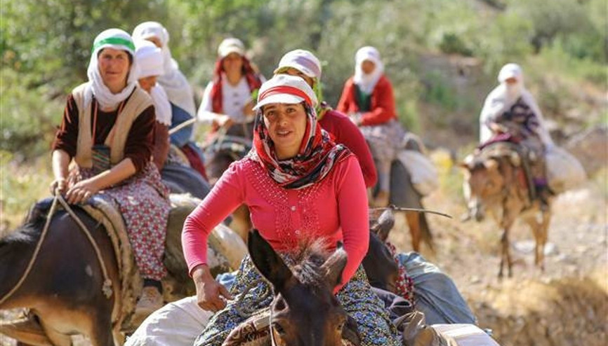 Berivanlar... Sabah 06.00da işe başlıyorlar...