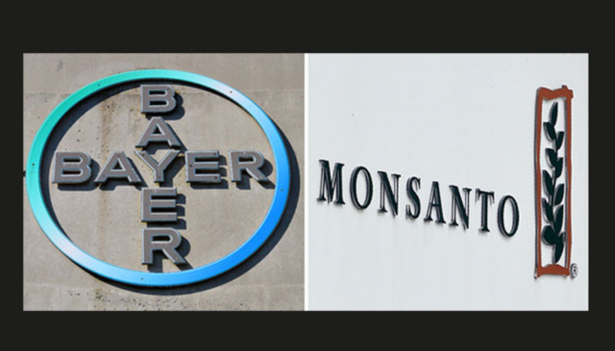 Bayer’in satın alma planına AB engeli