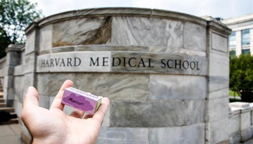 Göbek bağlarını Harvard bahçesine gömüyorlar