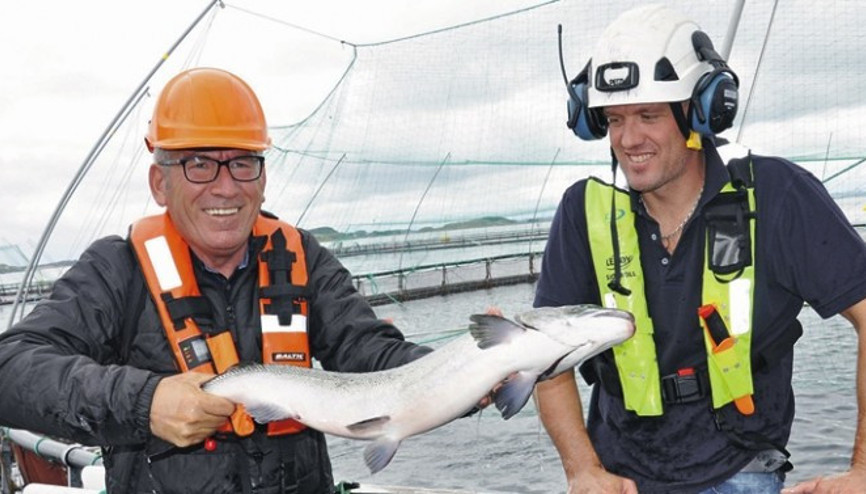 Yönünü Türkiyeye döndü