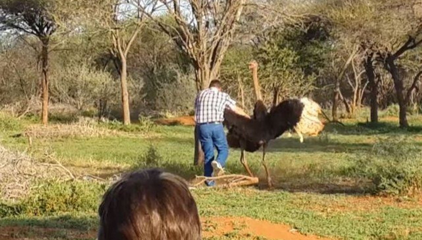 Bu fotoğraftan saniyeler sonra...