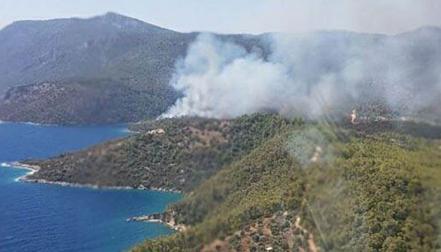 Son dakika... Akbükte orman yangını
