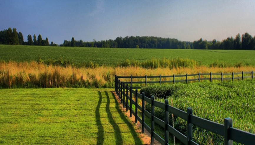 Köprü projeleri bu 81 bölgede fiyatları uçurdu