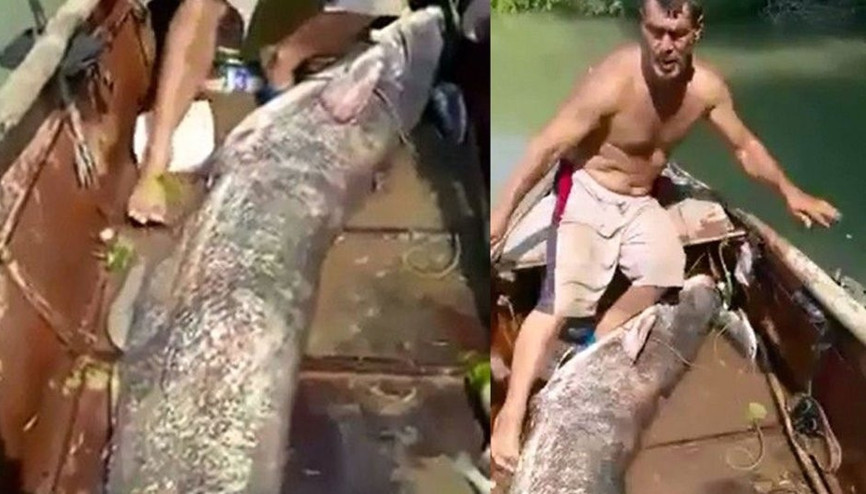 Adanada yakaladı, 3 metre... Guinness rekorlar kitabına başvuracak