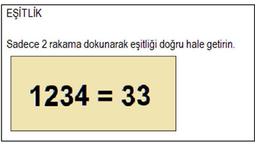 Akıl oyunu şampiyon