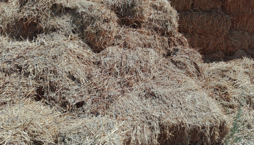 Fiyatları 2 kat arttı